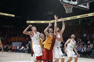 开云体育平台-拜仁慕尼黑再胜，成功卫冕德甲冠军，拜仁慕尼黑德甲夺冠