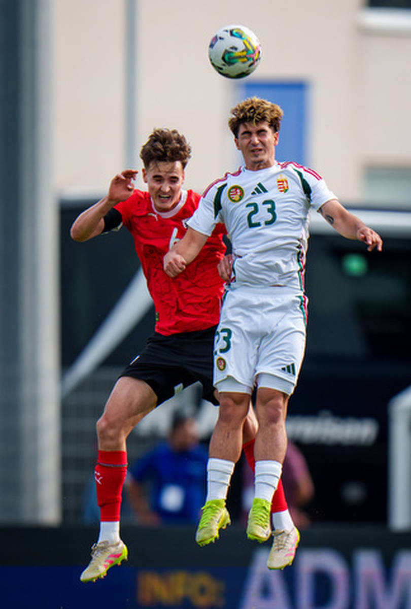 关于匈牙利主场击败克罗地亚，一举上升至小组第二的信息