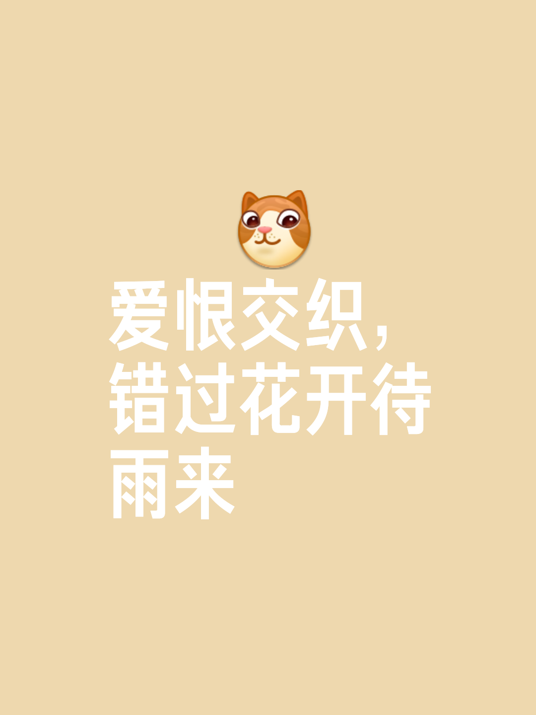 开云体育官网入口-纷争胜负之间，谁能笑到最后